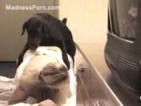 Plump MILF with enormous real boobs yelling as she's fucked by the family pet